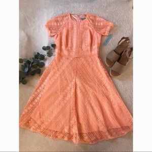 Antonio Melani Sunset Lace Dress